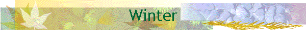 Winter